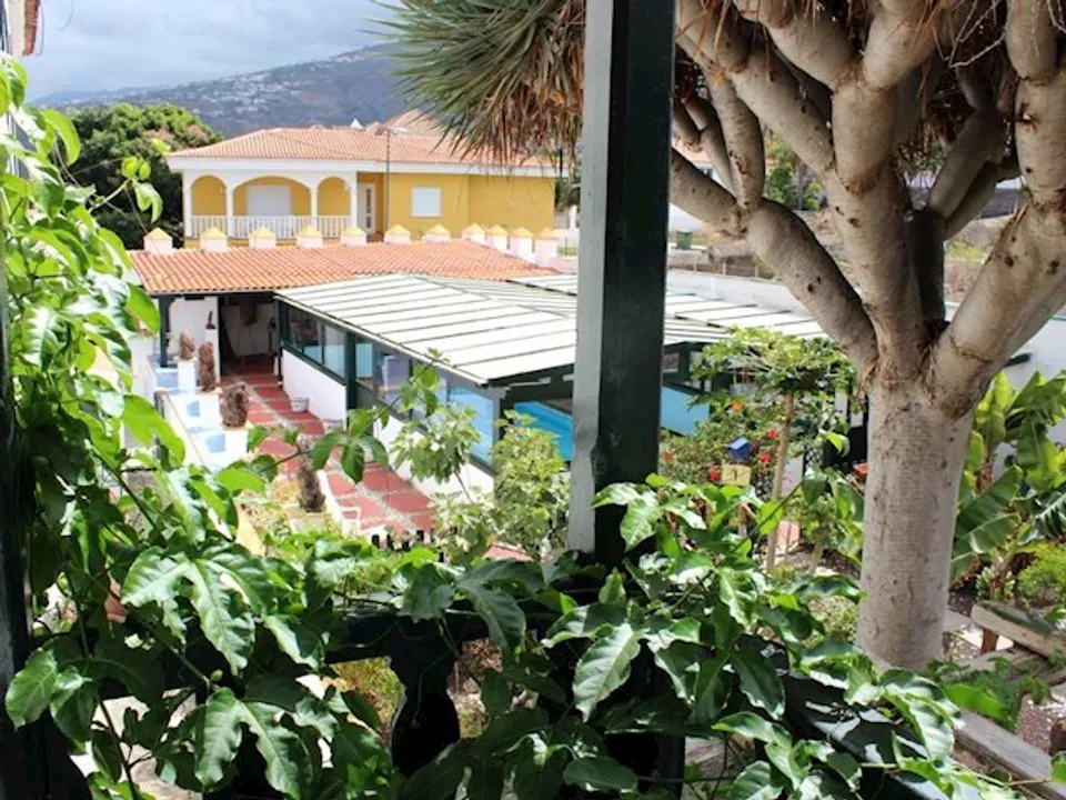 Finca i La Orotava, Tenerife - foto 5