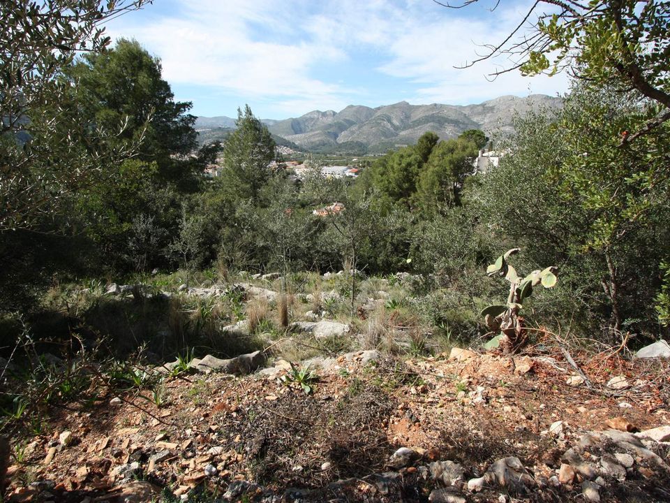 Helårsgrund i Orba, Alicante - foto 3