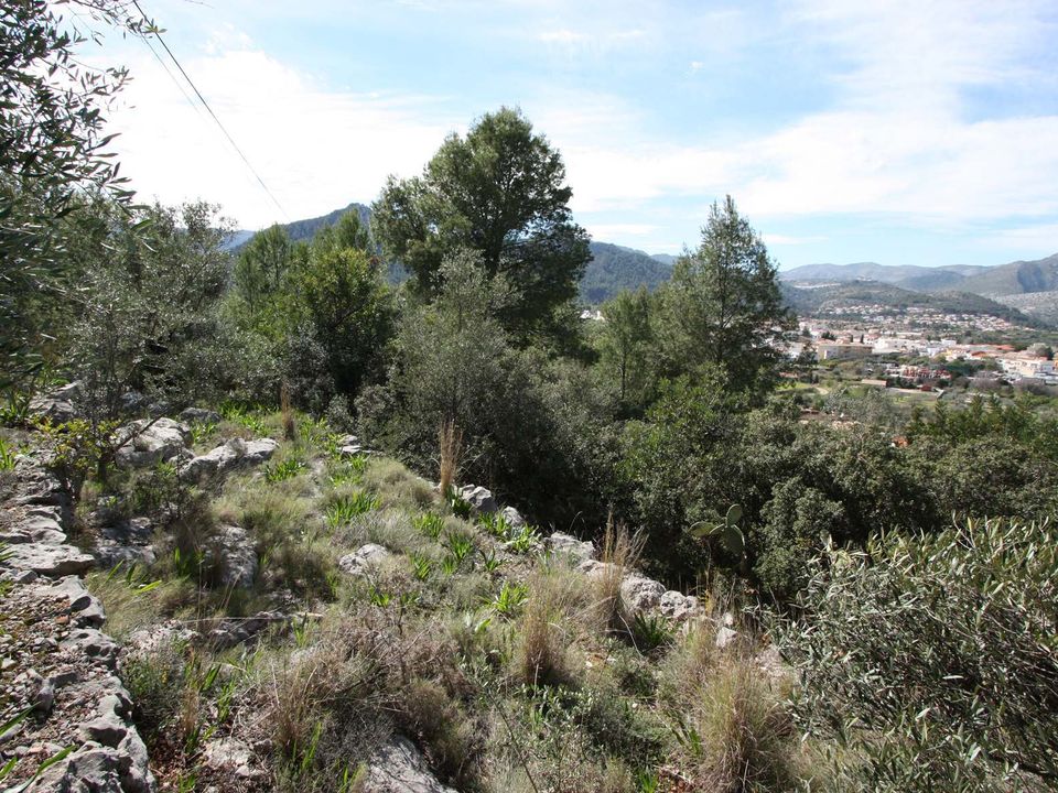 Helårsgrund i Orba, Alicante - foto 4