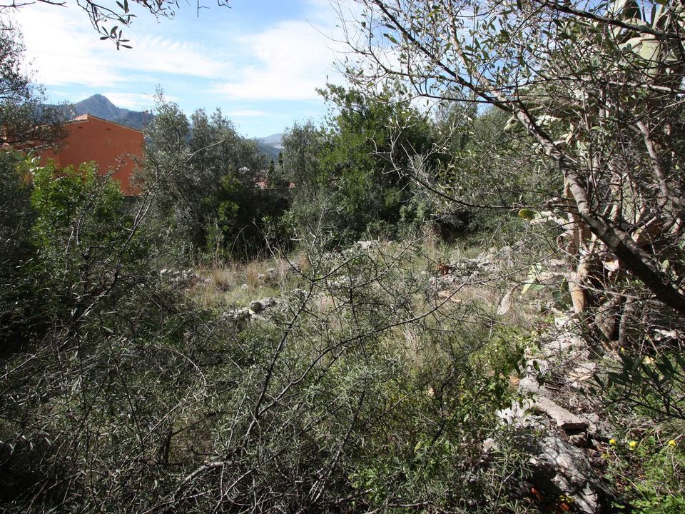 Helårsgrund i Orba, Alicante - foto 5