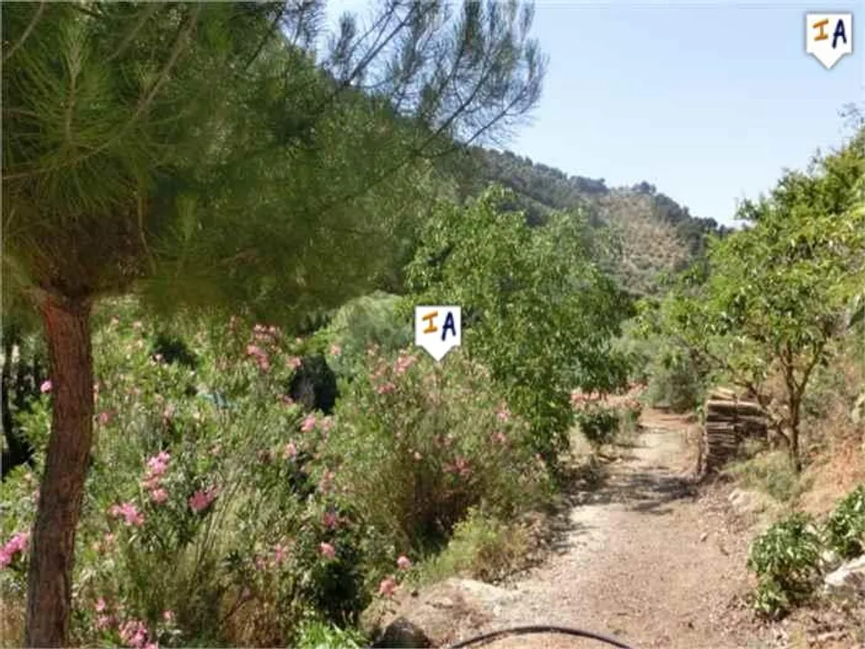 Cortijo i Montefrio, Granada - bilde 5