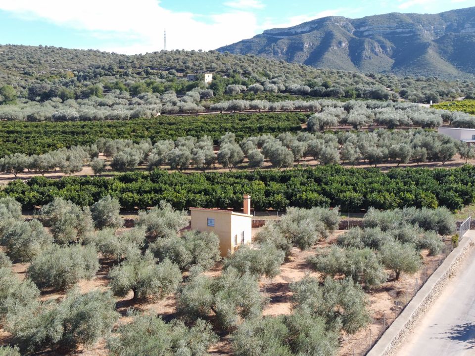 Landejendom i Freginals, Tarragona - foto 5