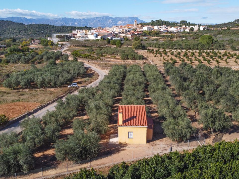 Landejendom i Freginals, Tarragona - foto 2