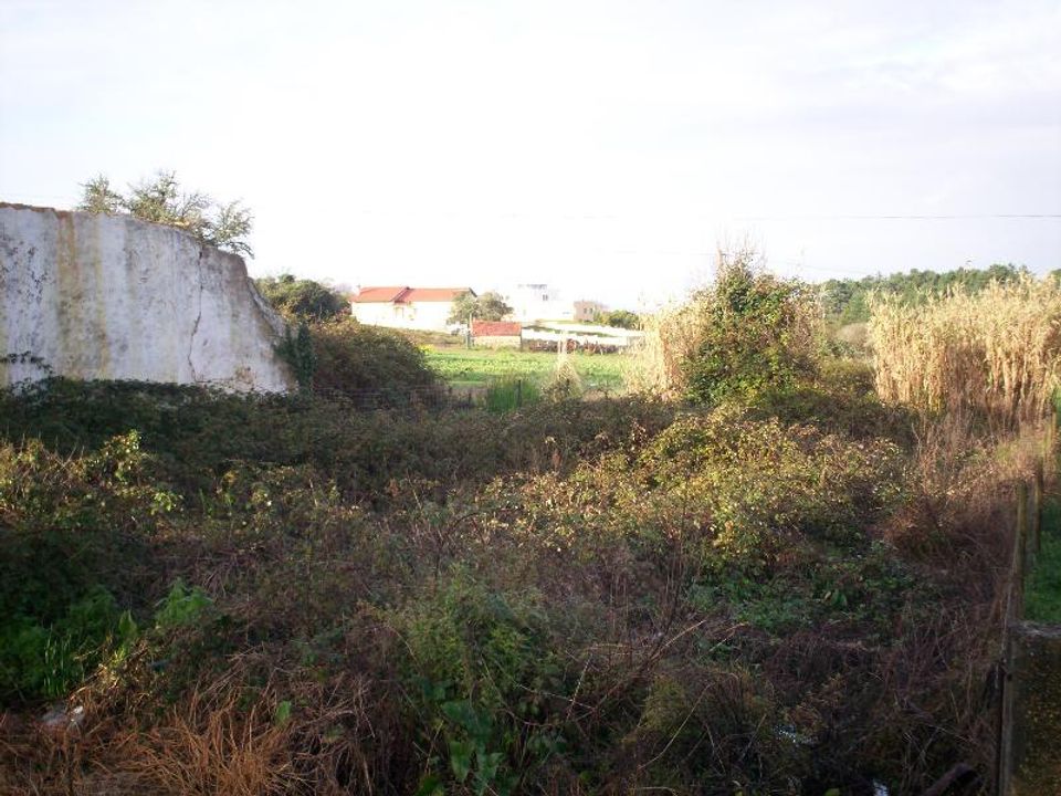 Helårsgrund i Figueira da Foz, Coimbra - foto 3