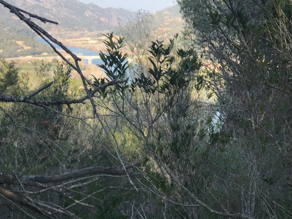 Finca i Benifallet, Tarragona - foto 4