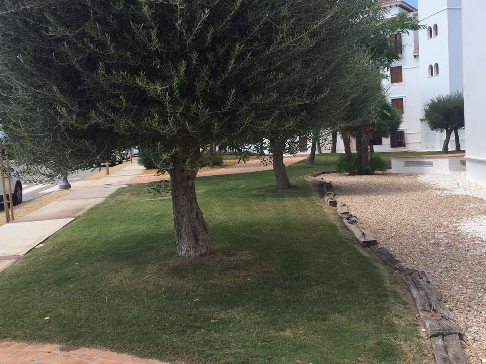 Lejlighed i El Valle Golf Resort, Murcia - foto 4