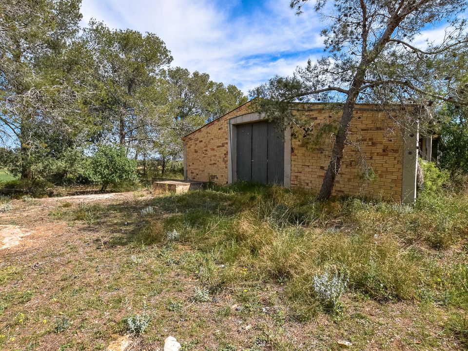 Finca i Tortosa, Tarragona - foto 4