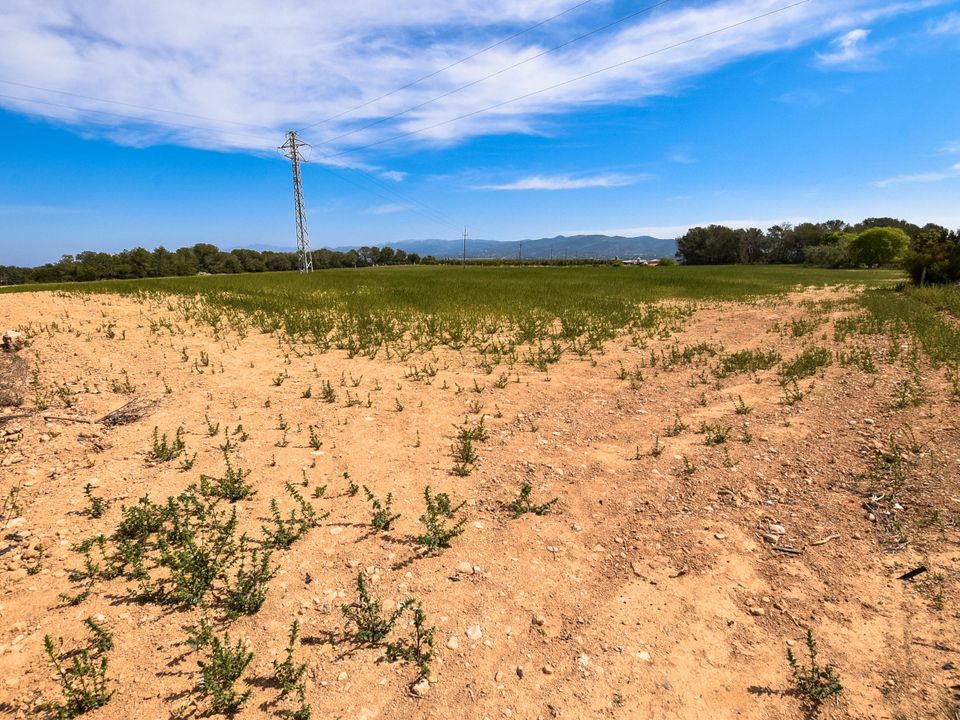 Finca i Tortosa, Tarragona - foto 5