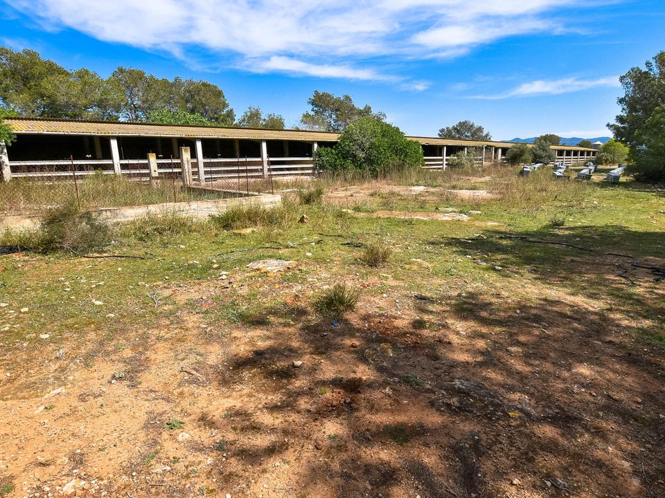 Finca i Tortosa, Tarragona - foto 1