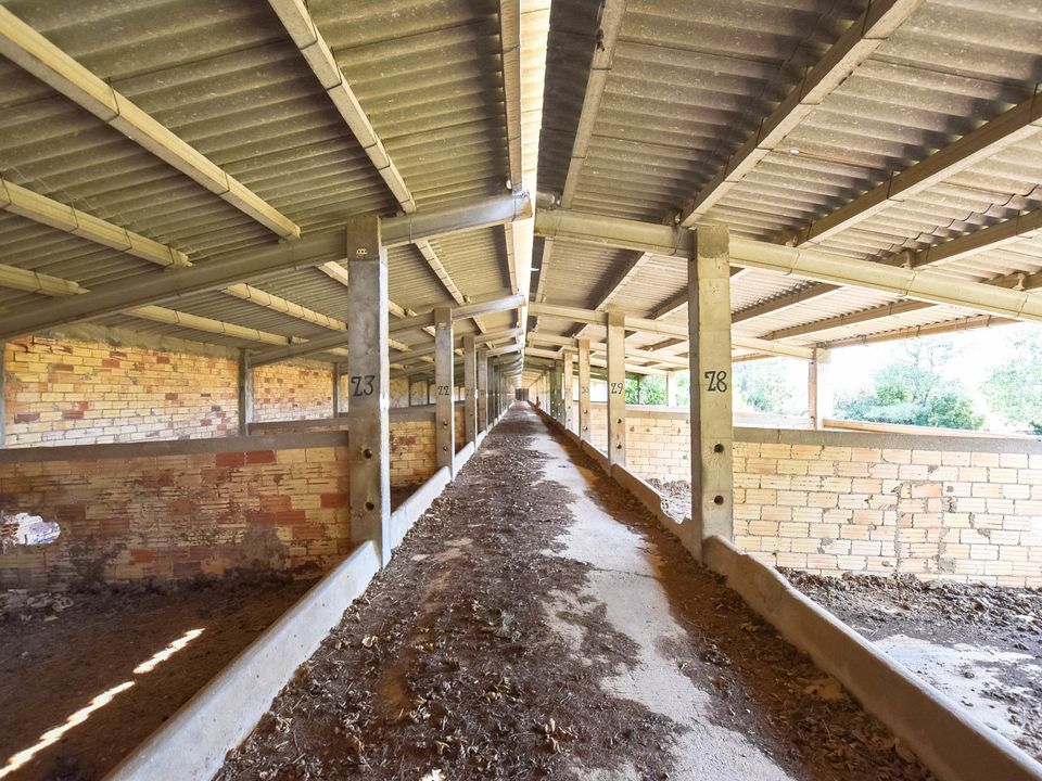Finca i Tortosa, Tarragona - foto 2