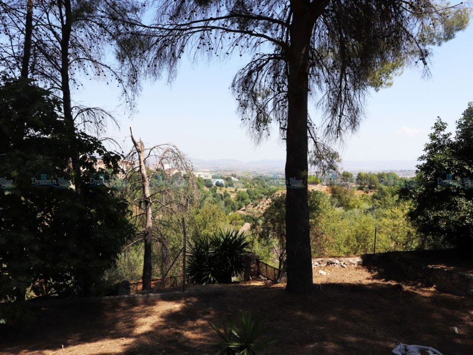 Helårsgrund i Agullent, Valencia - foto 1