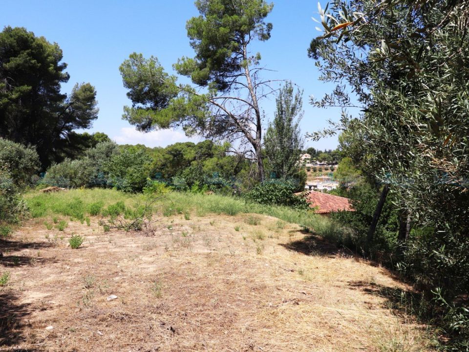 Helårsgrund i Agullent, Valencia - foto 2