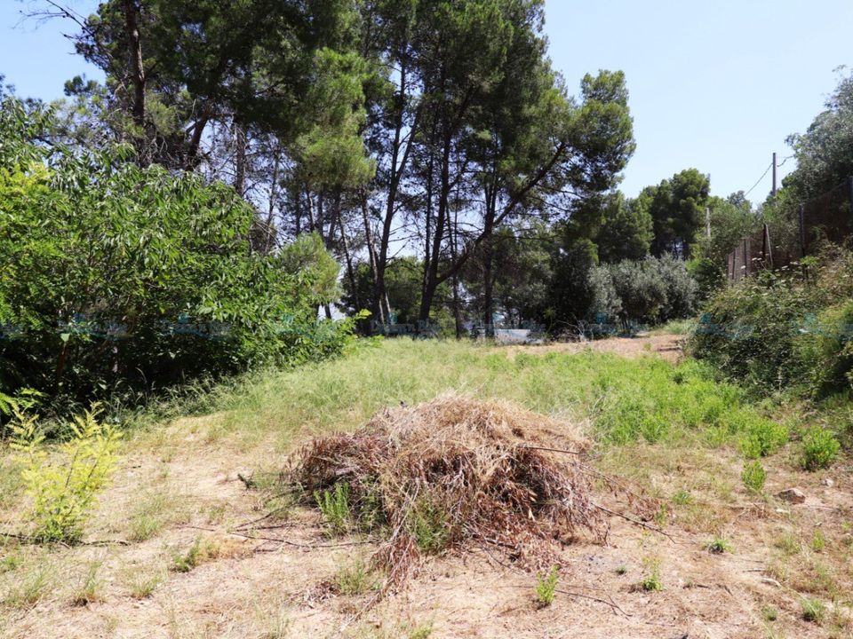 Helårsgrund i Agullent, Valencia - foto 3