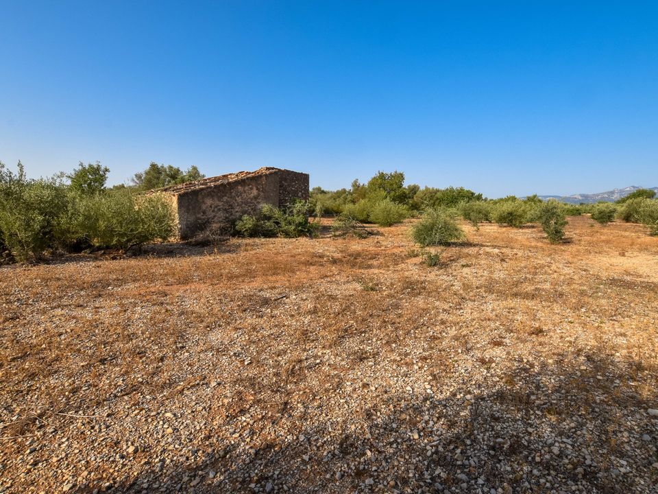 Finca i Santa Barbara, Tarragona - foto 4