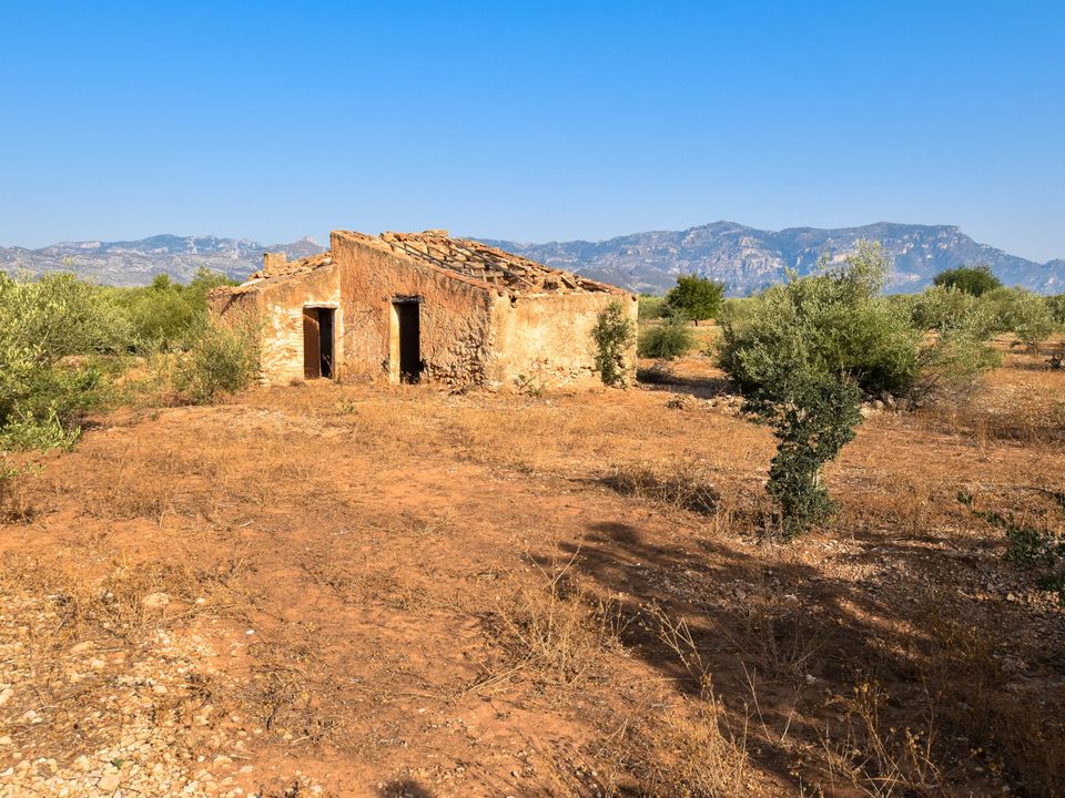 Finca i Santa Barbara, Tarragona - foto 3