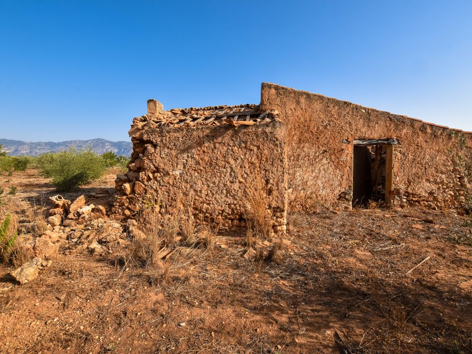 Finca i Santa Barbara, Tarragona - foto 1