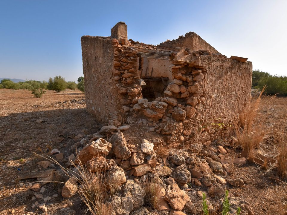 Finca i Santa Barbara, Tarragona - foto 5
