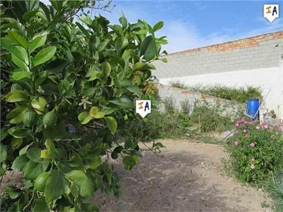 Helårsgrund i Alcaudete, Jaen - foto 2