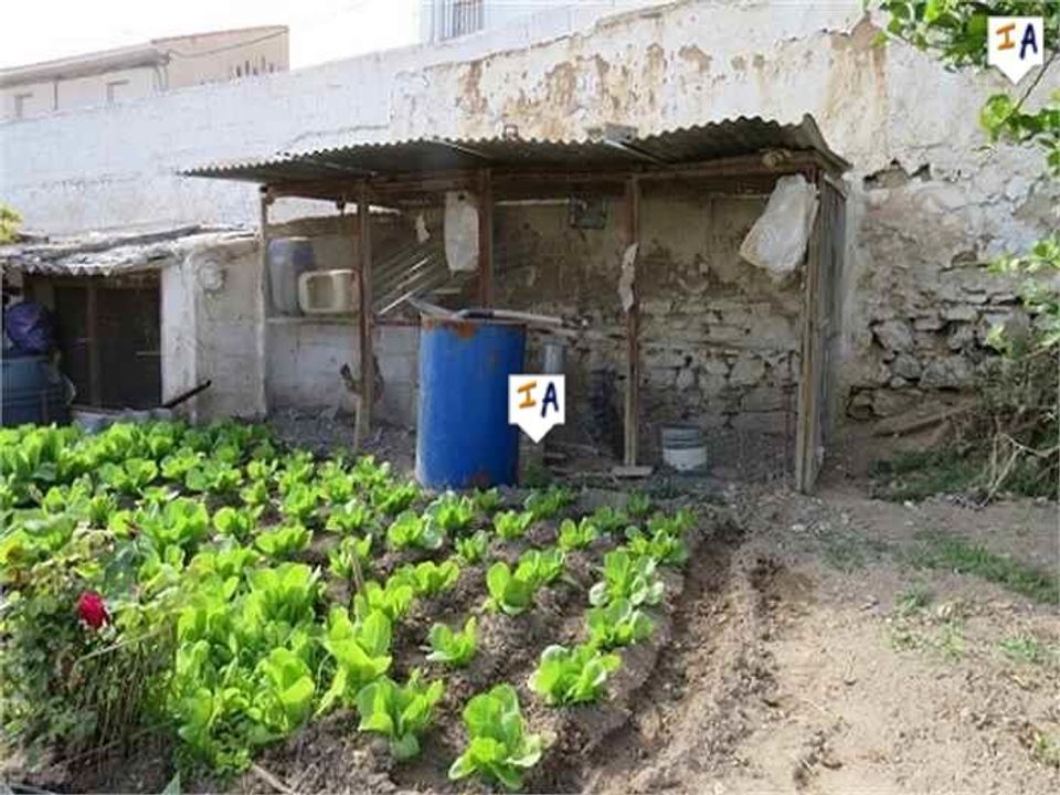 Helårsgrund i Alcaudete, Jaen - foto 3