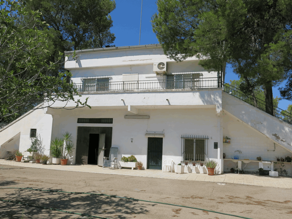Landejendom i Pinoso, Alicante - foto 1