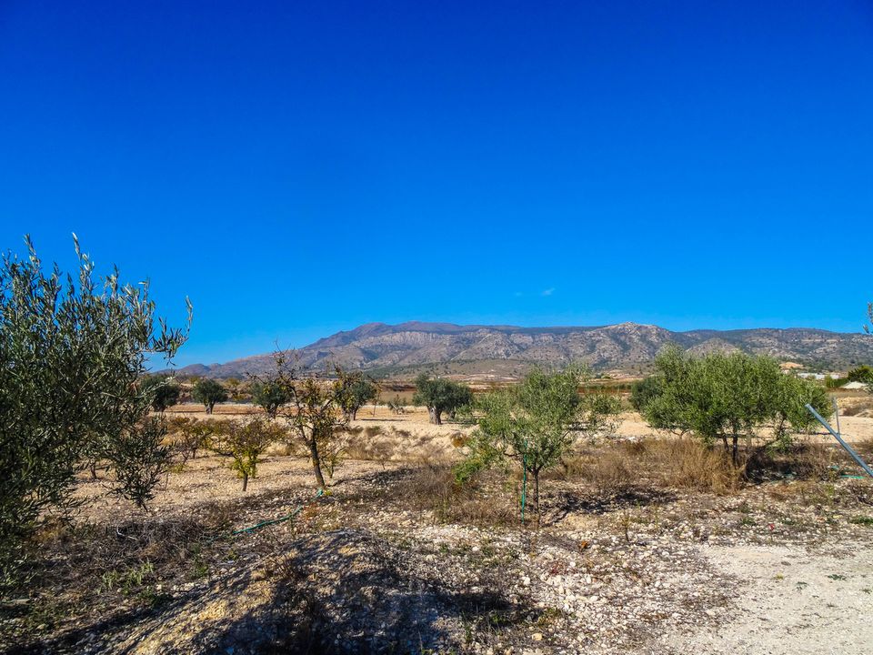 Landejendom i Torre Del Rico, Murcia - foto 2