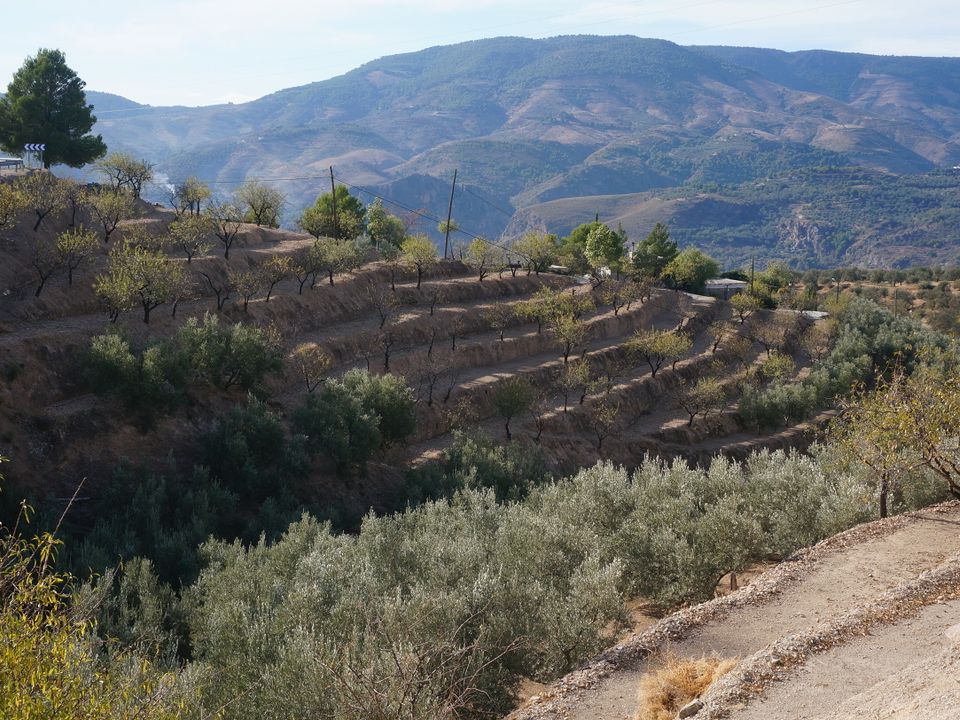 Finca i Lanjaron, Granada - foto 2