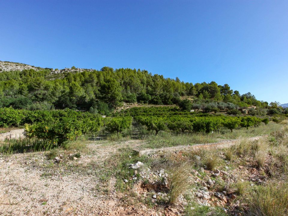 Grond in Sagra, Alicante - foto 5