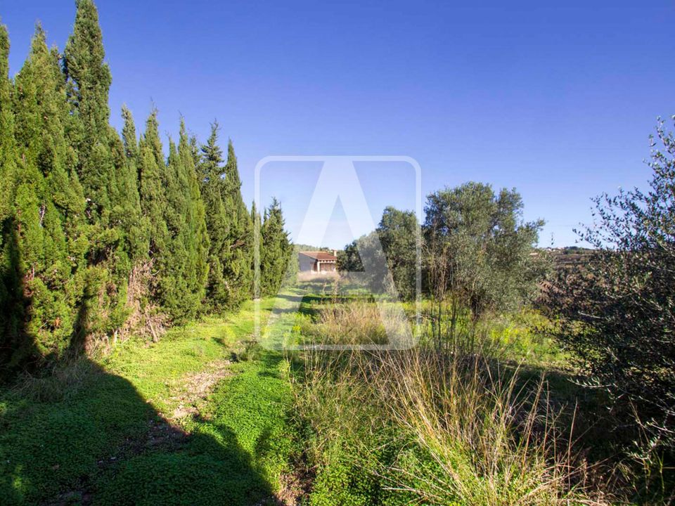 Finca i Moraira, Alicante - foto 5