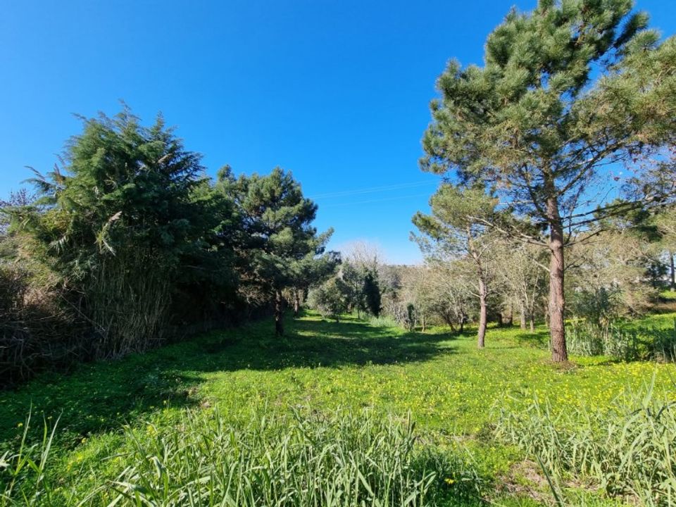 Helårsgrund i Carvalhal, Leiria - foto 1