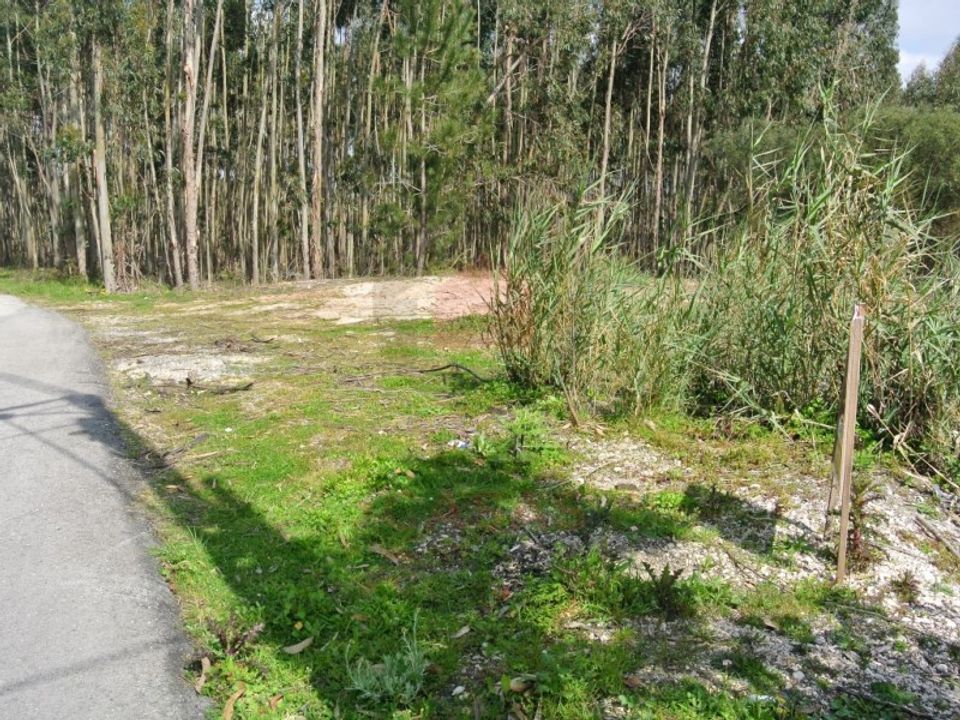 Helårsgrund i Caldas da Rainha, Leiria - foto 1