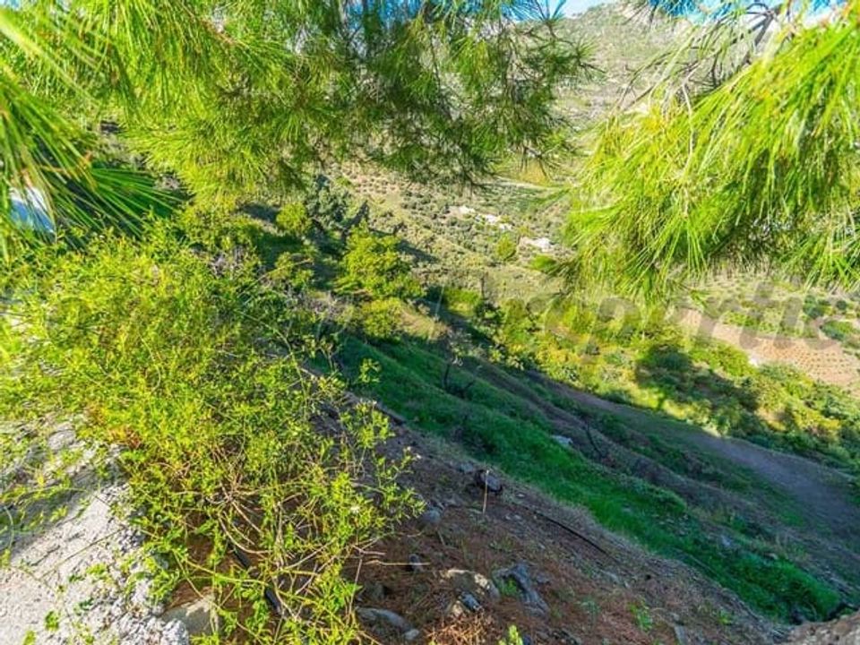 Finca i Frigiliana, Malaga - foto 2