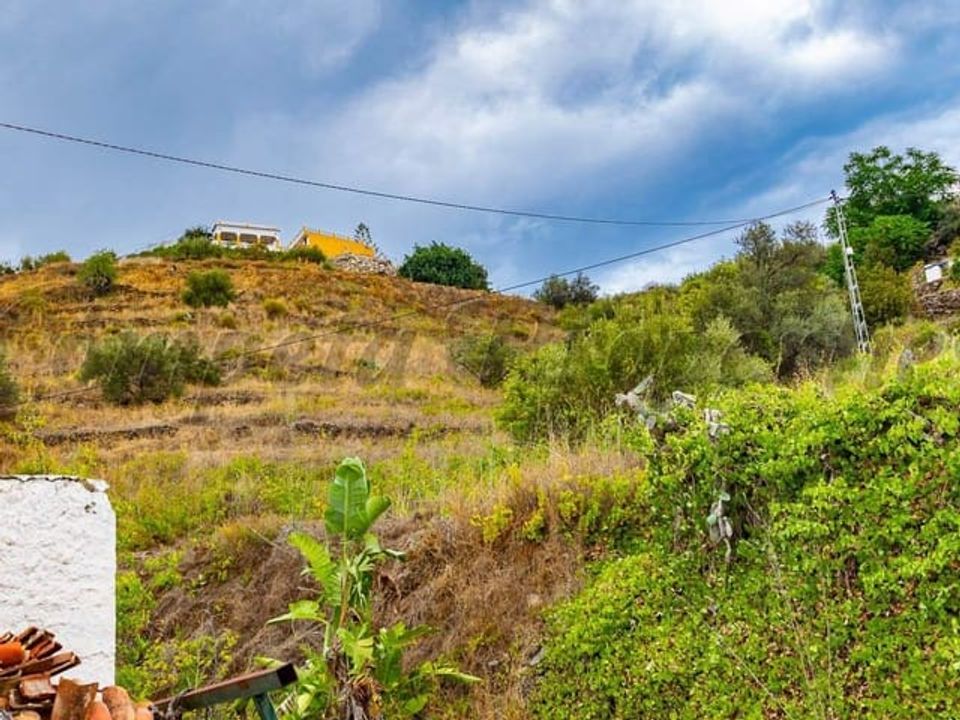 Finca i Torrox, Malaga - foto 5