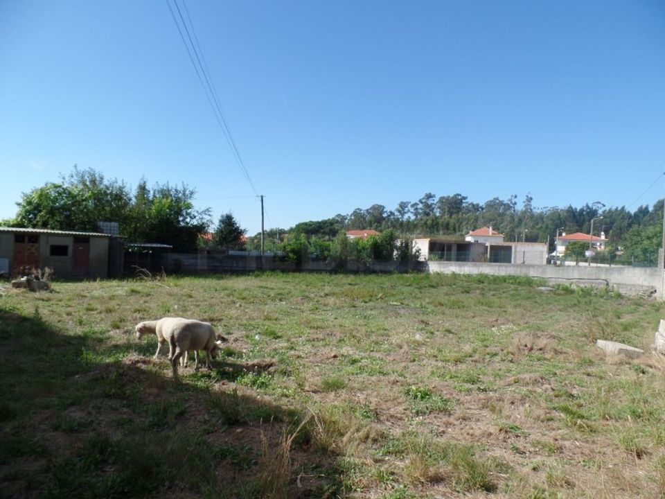 Helårsgrund i Vila Nova de Famalicao, Braga - foto 3