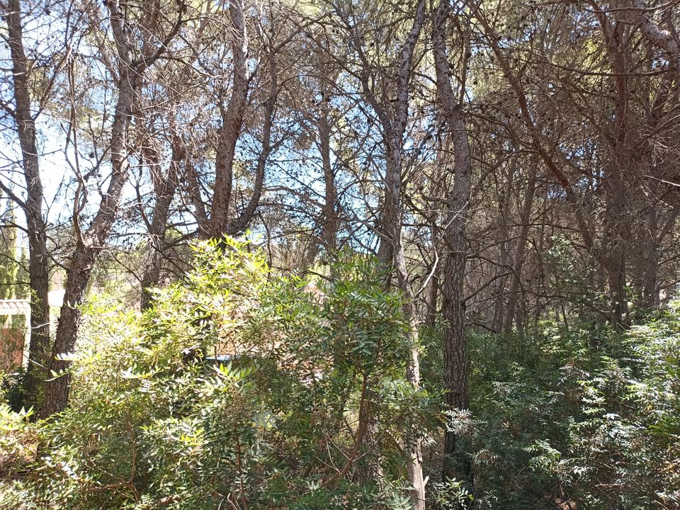 Helårsgrund i Moraira, Alicante - foto 4