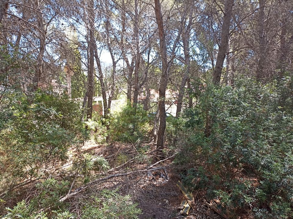 Helårsgrund i Moraira, Alicante - foto 5