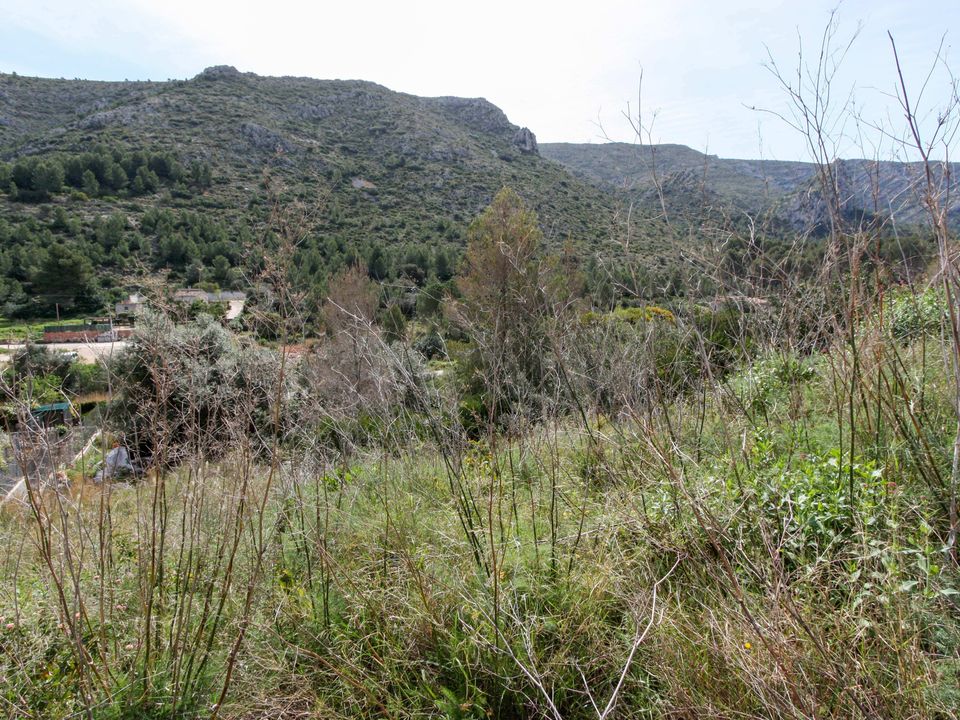 Helårsgrund i Pedreguer, Alicante - foto 1