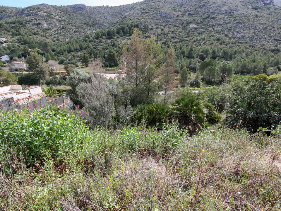 Helårsgrund i Pedreguer, Alicante - foto 2