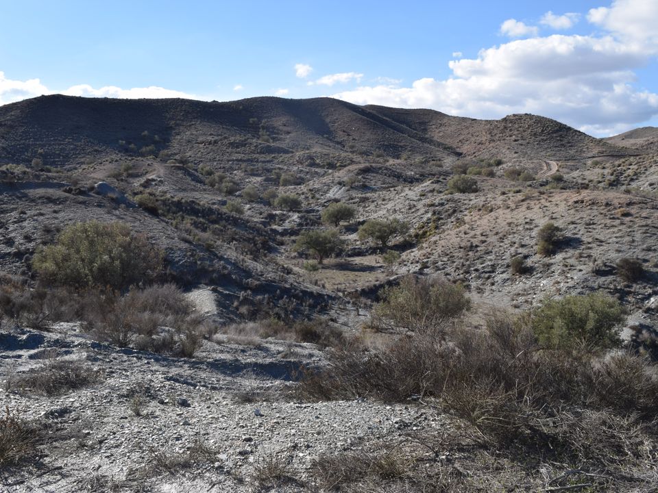 Finca i Cantoria, Almeria - foto 5