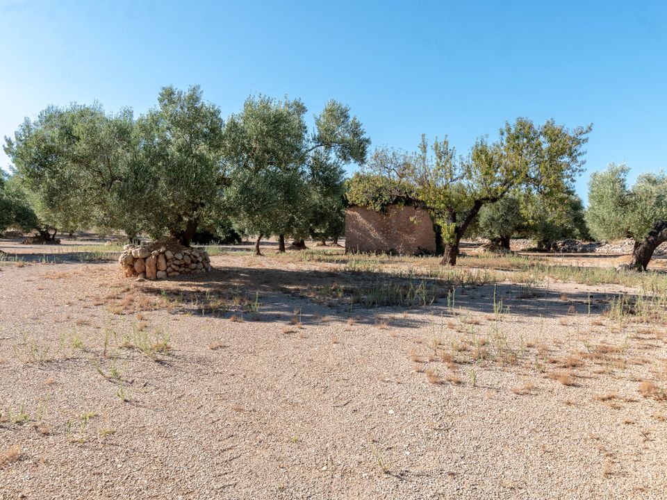 Finca en Mas De Barberans, Tarragona - foto 3