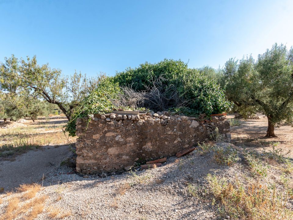 Finca en Mas De Barberans, Tarragona - foto 4