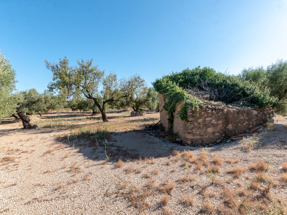Finca en Mas De Barberans, Tarragona - foto 2