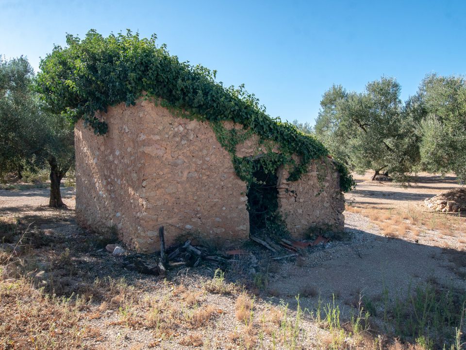 Finca en Mas De Barberans, Tarragona - foto 1