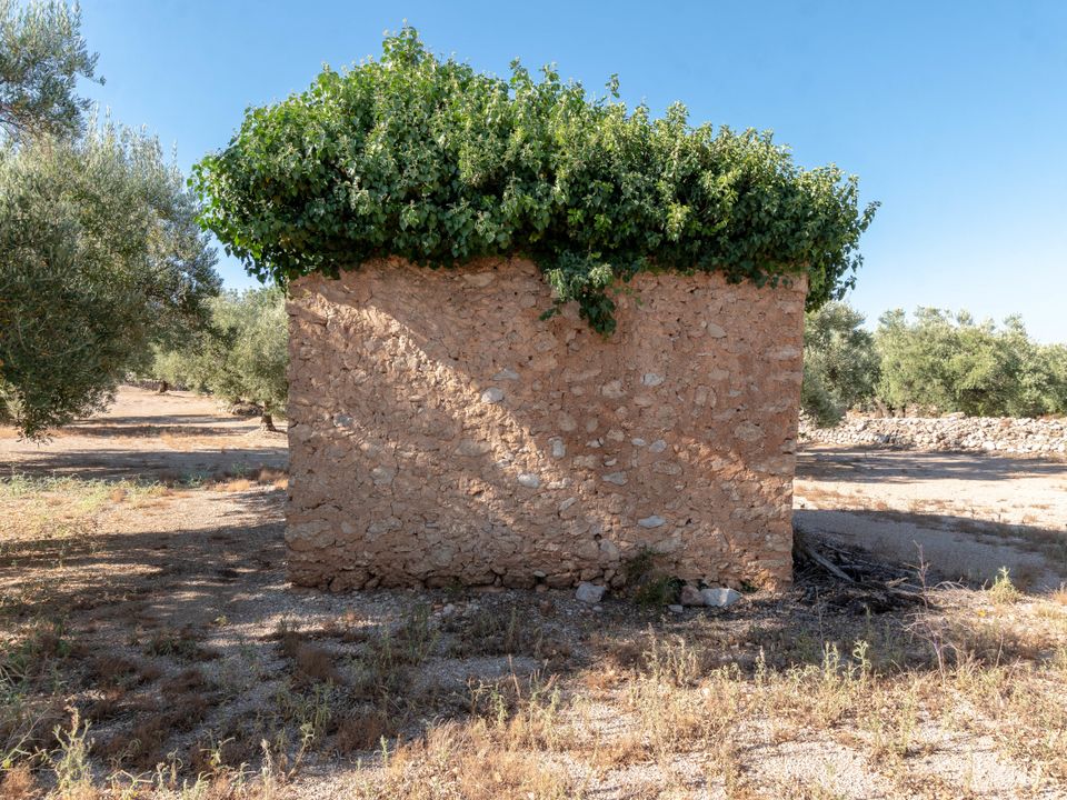 Finca en Mas De Barberans, Tarragona - foto 5