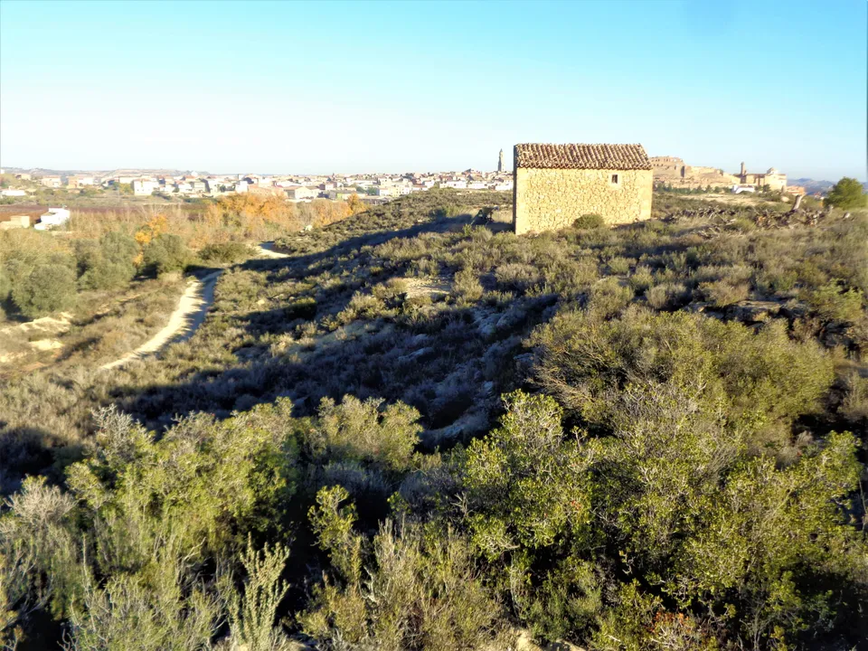 Finca i Maella, Zaragoza - foto 2