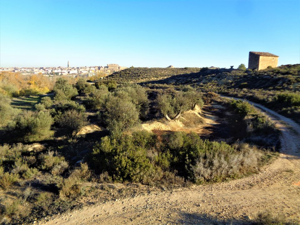 Finca i Maella, Zaragoza - foto 3