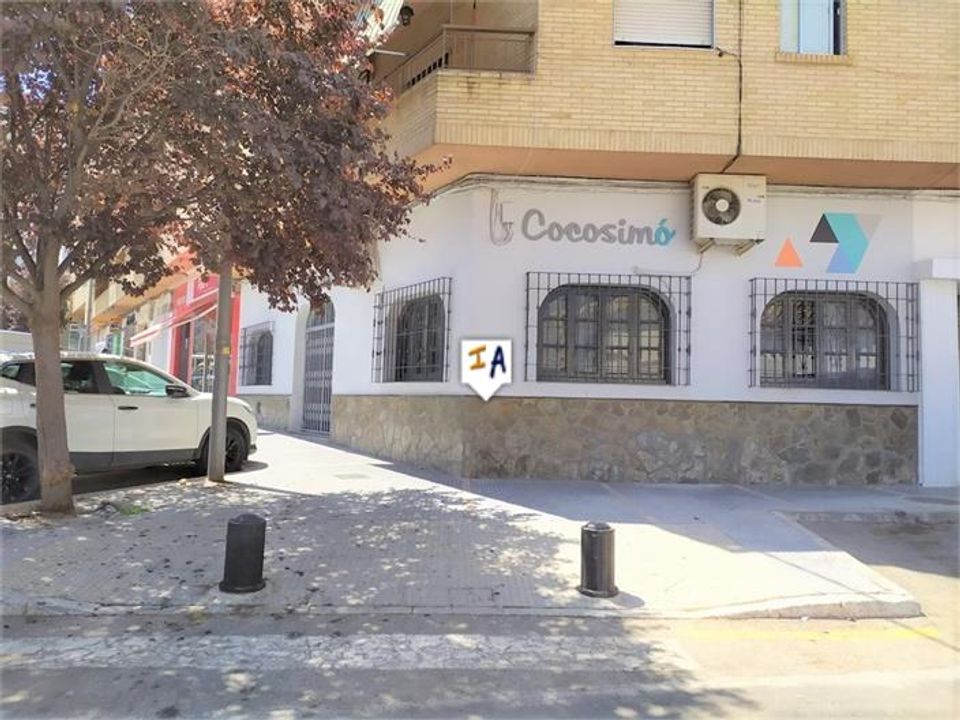 Erhvervsejendom i Loja, Granada - foto 1