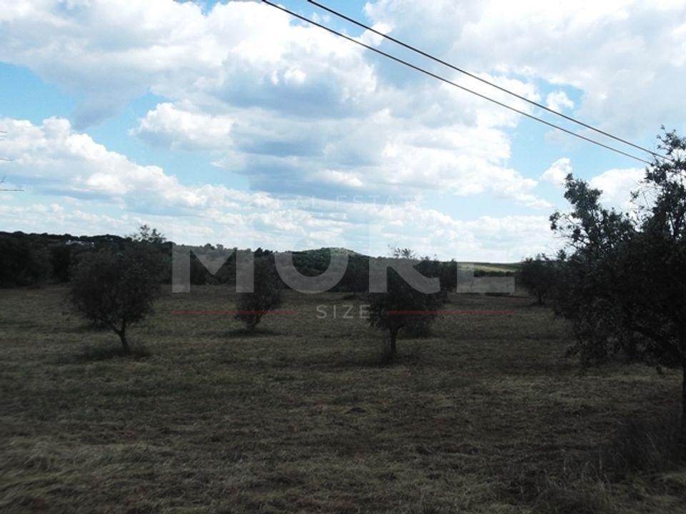 Terra a Redondo, Evora - foto 4