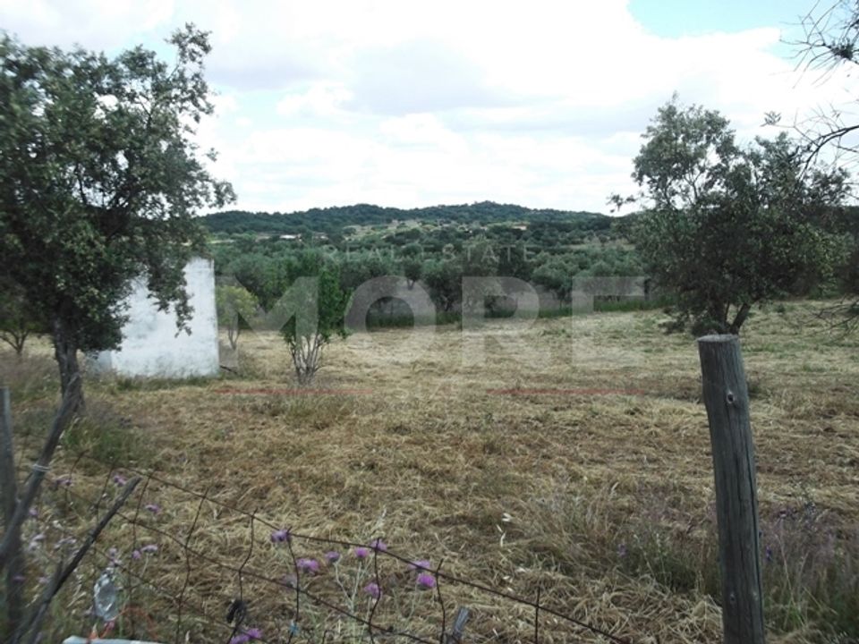 Terra a Redondo, Evora - foto 1