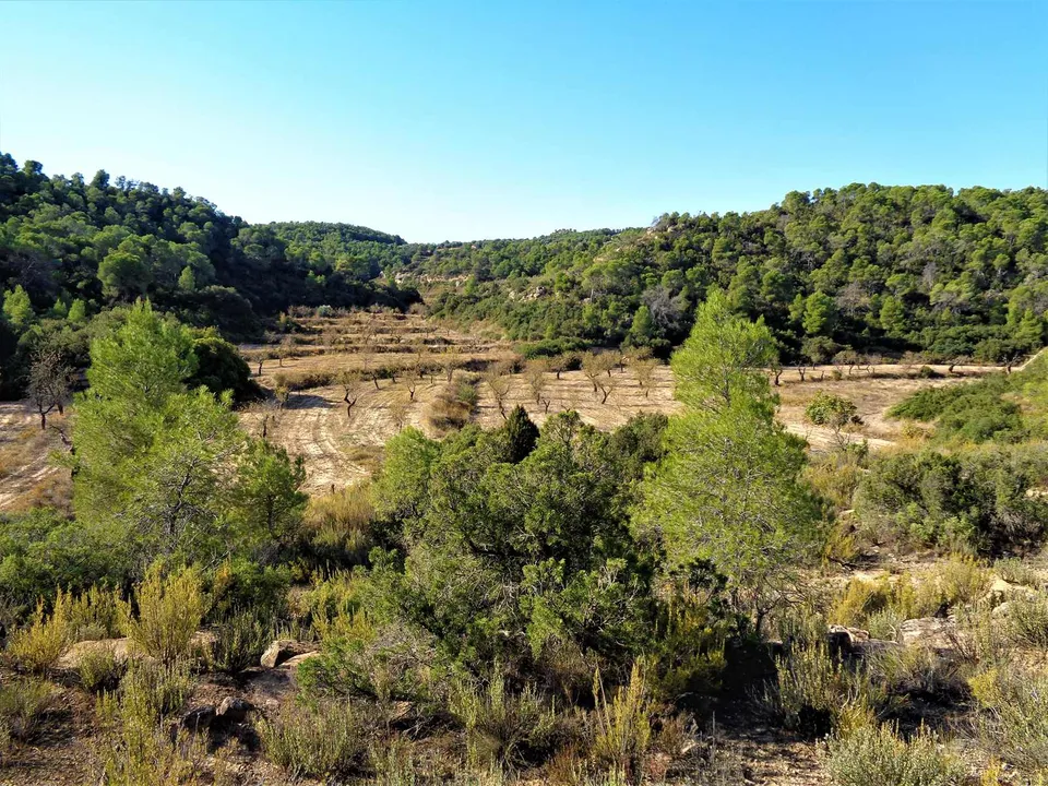 Finca i Maella, Zaragoza - bilde 3