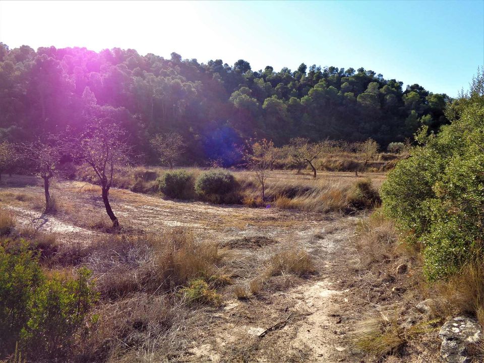 Finca i Maella, Zaragoza - bilde 5